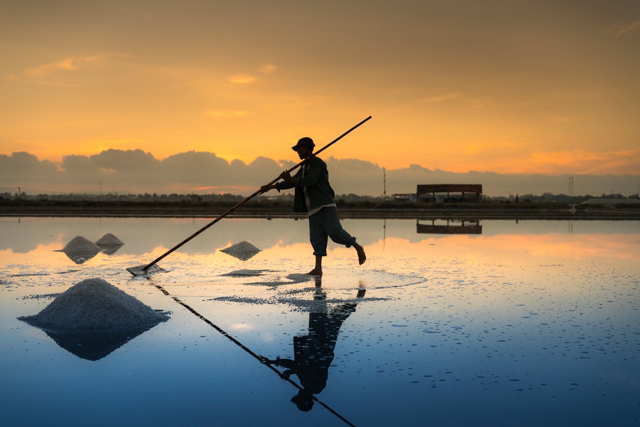 About A farmer collects salt in a serene sunrise setting, with reflections on water creating a tranquil scene.