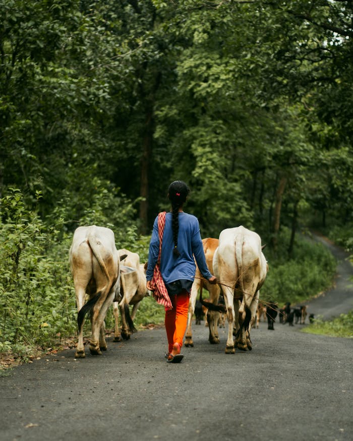 Crafting Captivating Headlines: Your awesome post title goes here pexels-photo-34522583.jpeg